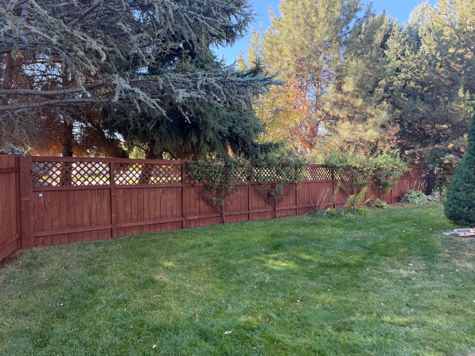 Gallery photos for Wood Fence Staining That Actually Protects the Wood: Image #3